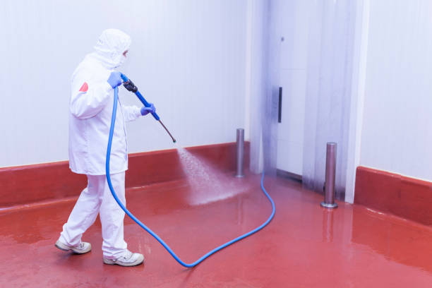 Best Rust Removal  in Yaphank, NY