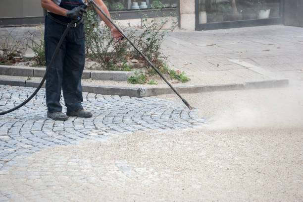 Best Animal Enclosure Cleaning  in Yaphank, NY
